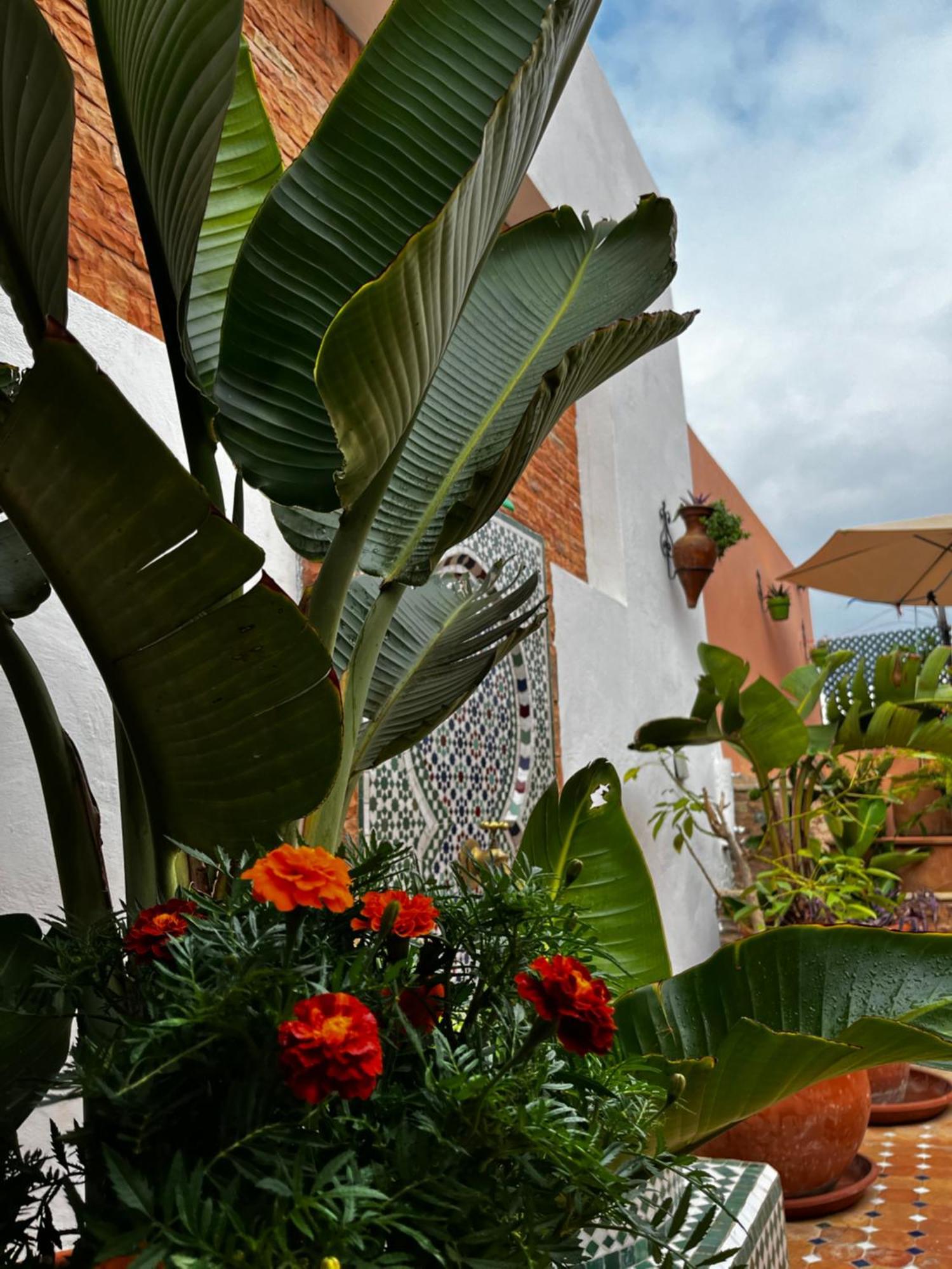 Casa Indigo Hotel Рабат Екстериор снимка